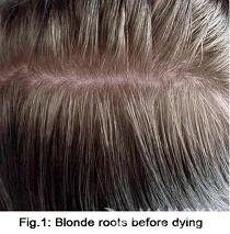 241205142105_Hair-Before Dying-s.jpg